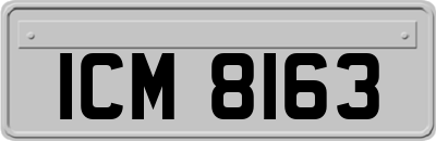ICM8163