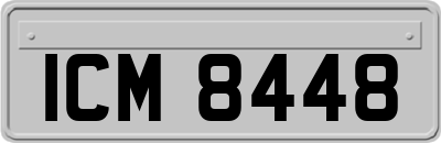 ICM8448