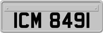 ICM8491