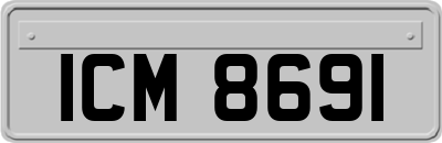 ICM8691