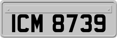 ICM8739