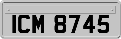 ICM8745