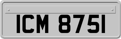 ICM8751