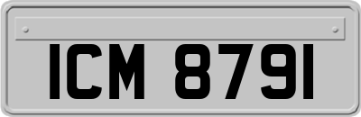 ICM8791