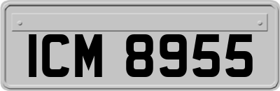 ICM8955