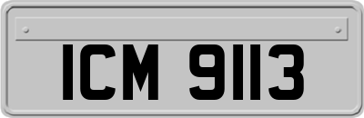 ICM9113