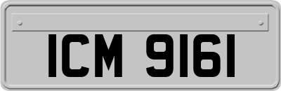 ICM9161