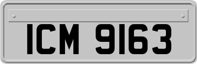 ICM9163