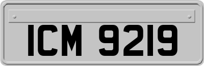 ICM9219