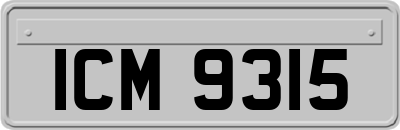 ICM9315