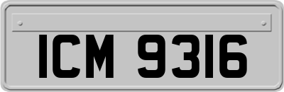 ICM9316