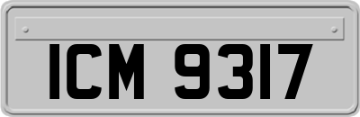 ICM9317