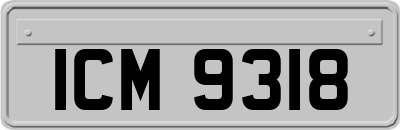 ICM9318