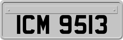 ICM9513