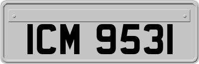 ICM9531