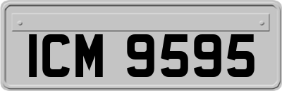 ICM9595