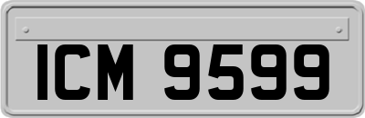 ICM9599