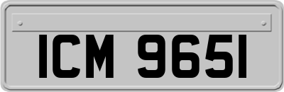 ICM9651