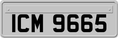 ICM9665