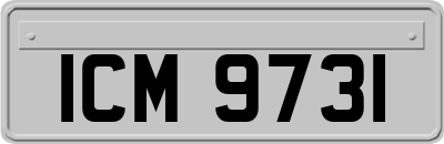 ICM9731