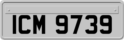 ICM9739