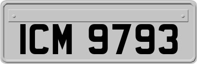 ICM9793