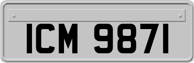 ICM9871