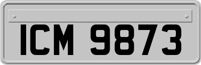 ICM9873