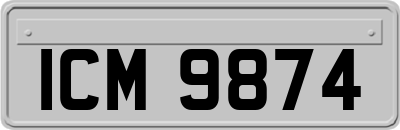 ICM9874