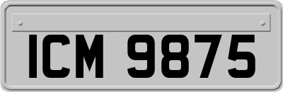 ICM9875