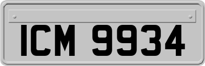 ICM9934