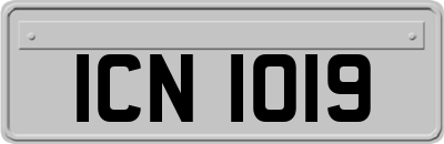 ICN1019
