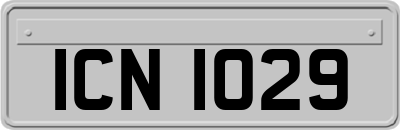 ICN1029