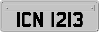 ICN1213