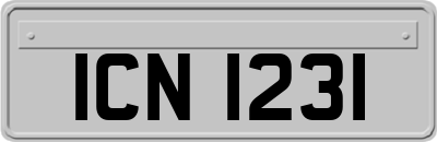 ICN1231