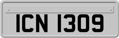 ICN1309