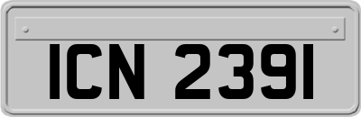 ICN2391