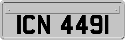 ICN4491