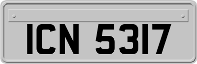 ICN5317