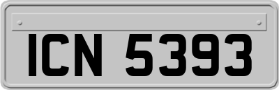 ICN5393