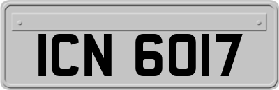 ICN6017