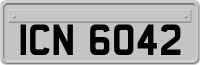 ICN6042
