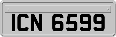 ICN6599
