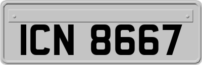 ICN8667