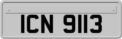 ICN9113