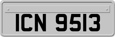 ICN9513