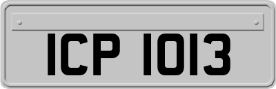 ICP1013