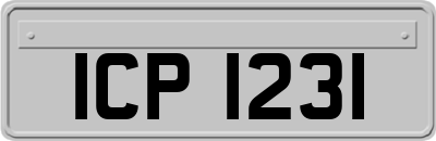 ICP1231