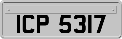 ICP5317