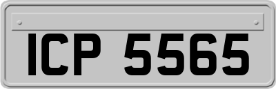 ICP5565